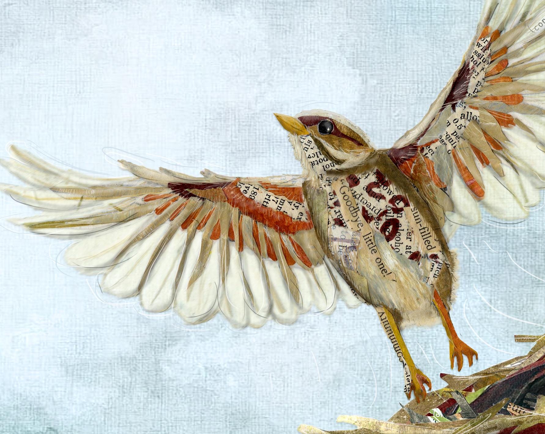 Fledgling Bird Art Print – Graduation Gift - Mixed Media Collage (8x10, Recycled Cardstock)