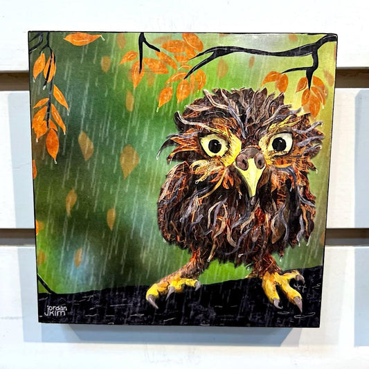 5x5" Wood-Mounted Print - Soggy Owl- For Hanging or Free Standing on Shelf