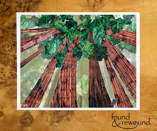 8x10 Art Print of a Backpacker Looking Up into the Canopy of the Redwoods - Anytime Gift -Nature Lover - Forest