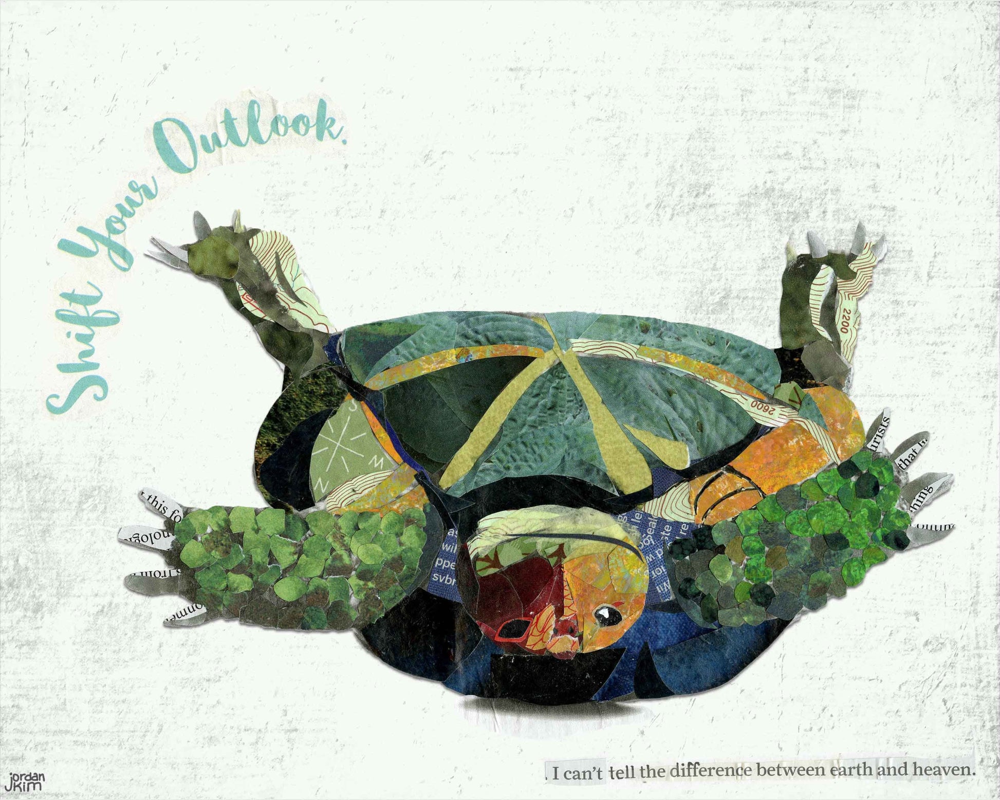 8x10 Art Print of a Turtle on its Back - Shift Your Outlook - Inspiration - Support - Animals - Office Art - Kid's Room - Fun
