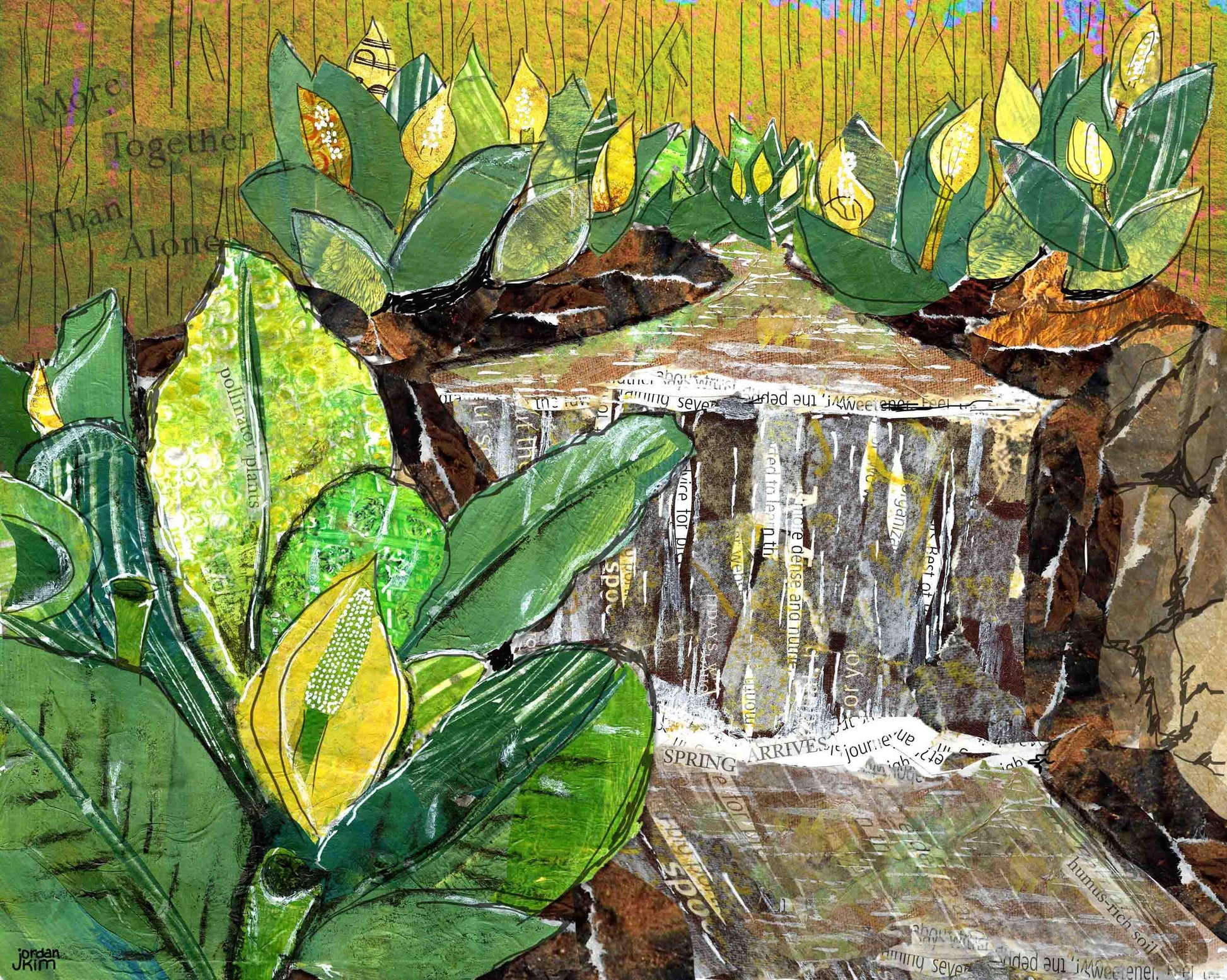 Greeting Card of Skunk Cabbage Plants Along a Waterway - Inspirational - Blank Inside