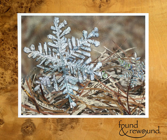 8x10 Art print of a Snowflake in Forest Duff - Winter - Snow - Nature - Wall Art