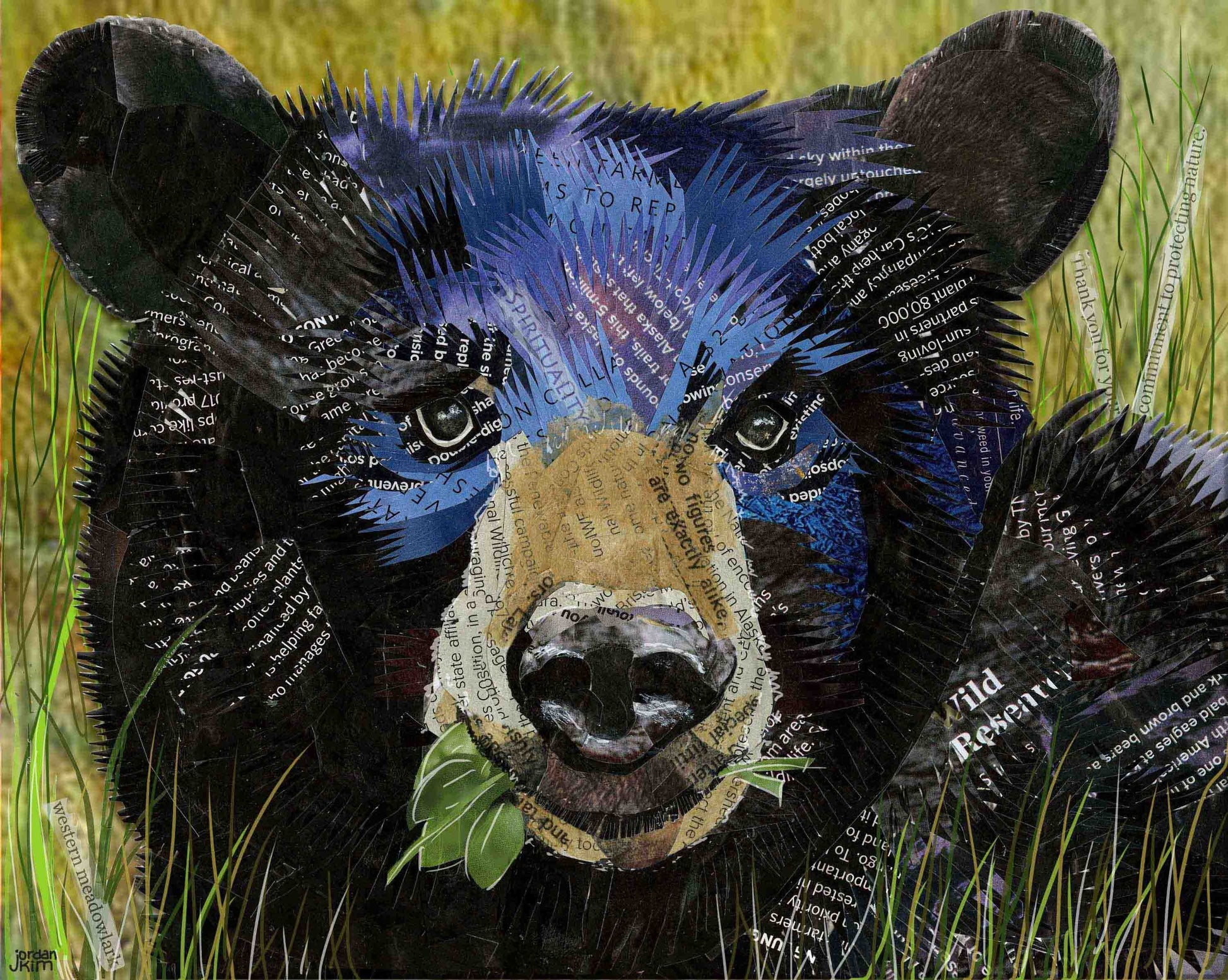 8x10 Art print of a Paper Collage of of a Black Bear Eating Grass - Wall Art