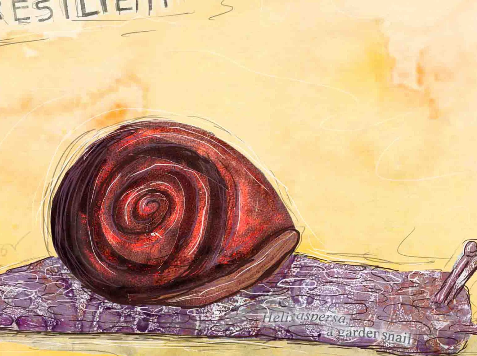Greeting Card of a Paper Collage of a Snail with the word Resilient and snail facts - Inspirational - Blank Inside
