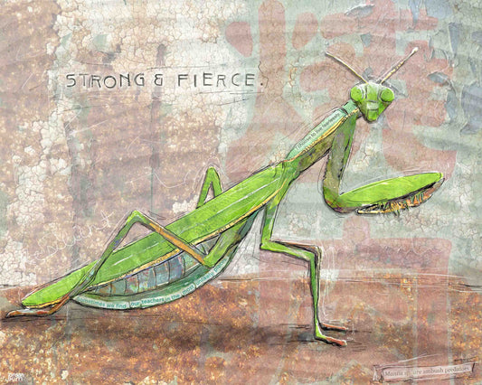 8x10 Art print of a Paper Collage of a Praying Mantis with the words Strong and Fierce - Inspirational Wall Art