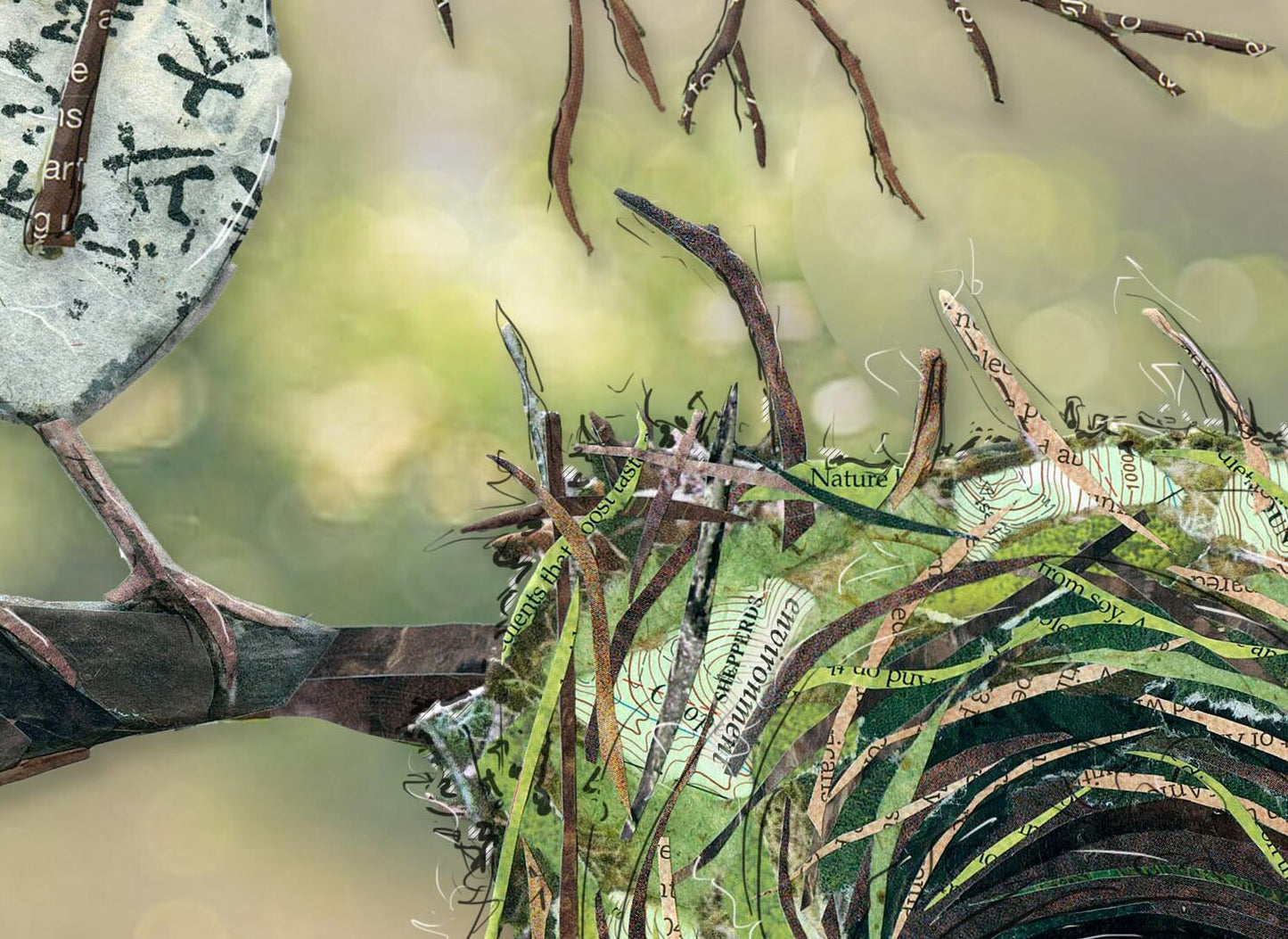 8x10 Art print of a Paper Collage of Swainson's Thrush bird building a nest in a fir tree - Wall Art