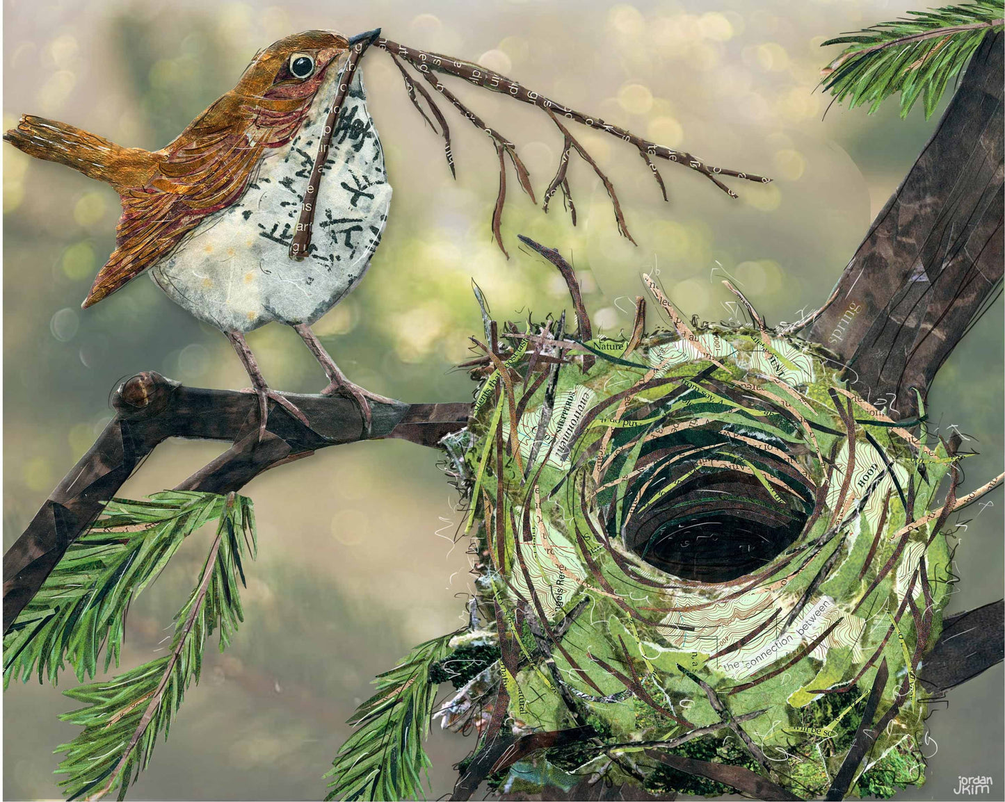 Greeting Card of a Paper Collage of a Swainson's Thrush bird building a nest in a fir tree - Blank Inside