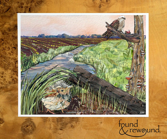 8x10 Art print of a Paper Collage of of a fledgling bird hiding as osprey eats a fish nearby stream - Wall Art