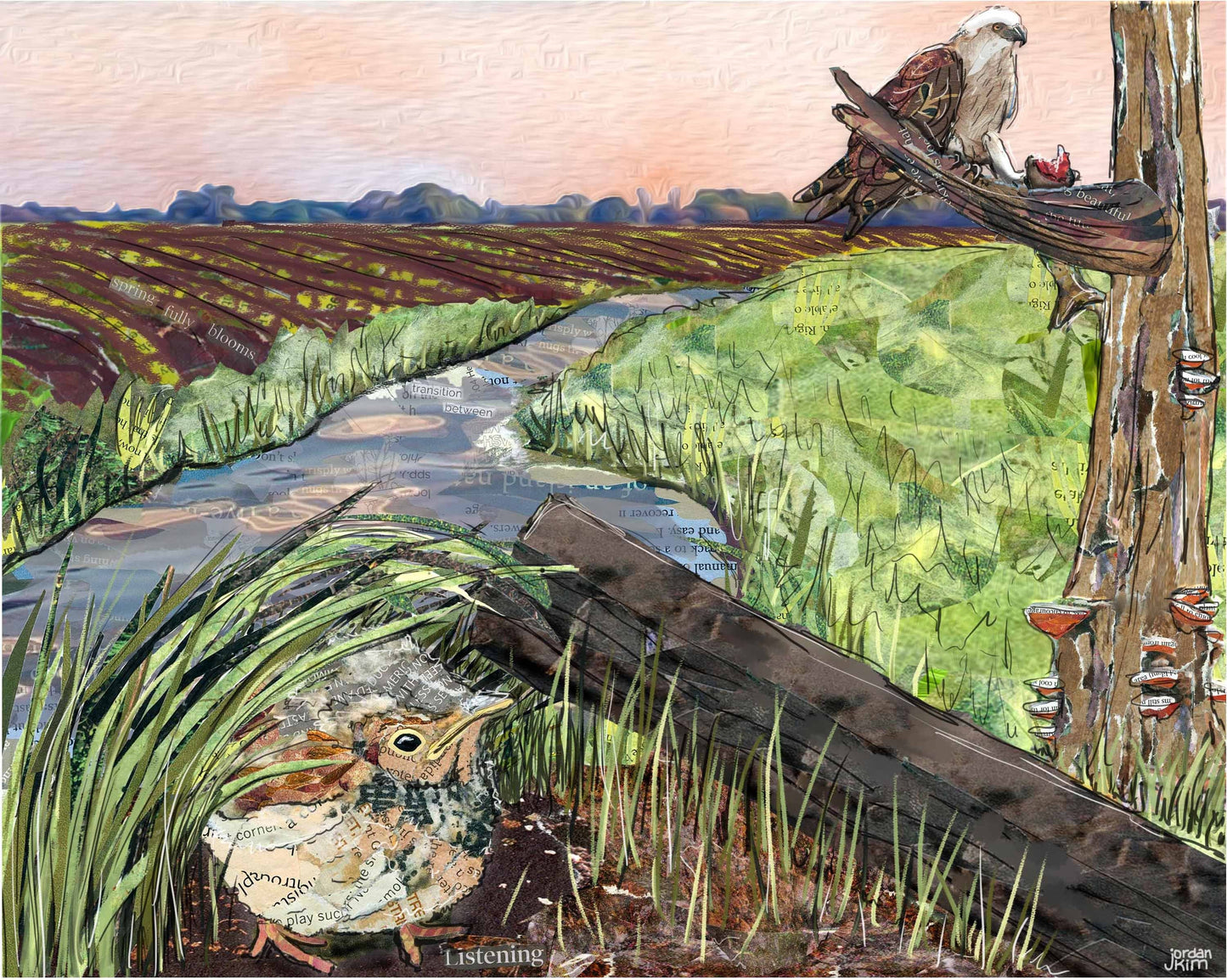 8x10 Art print of a Paper Collage of of a fledgling bird hiding as osprey eats a fish nearby stream - Wall Art