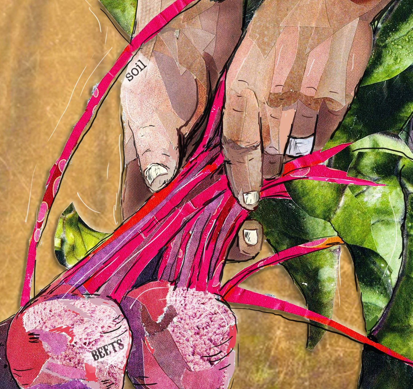Greeting Card of mixed media collage of a hands holding beets, gardening, farming - Blank Inside