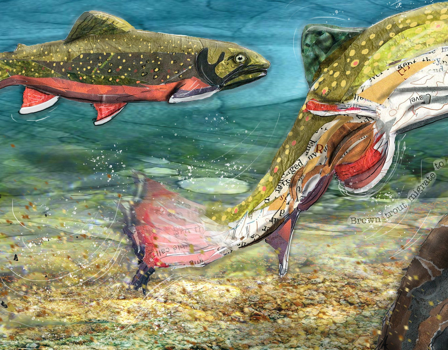 8x10 Art Print of a mixed media collage of brook trout making a redd, Yellowstone