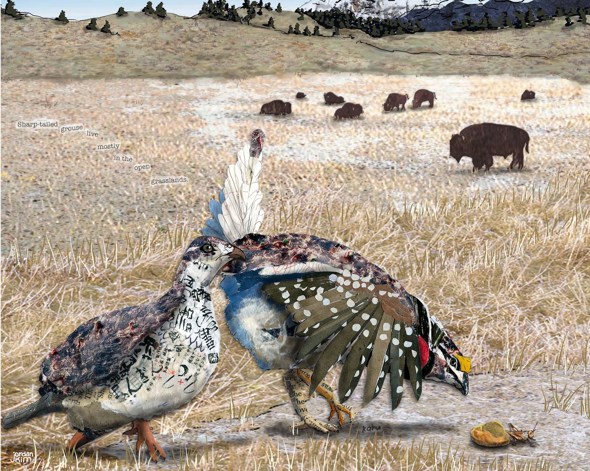8x10 Art Print of a mixed media collage of a pair of sharp-tailed grouse hunting grasshoppers, Yellowstone