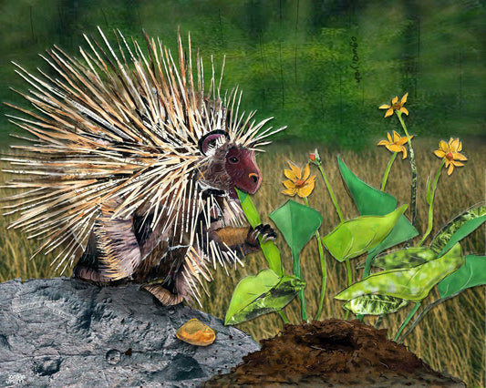 8x10 Art Print of a mixed media collage of a porcupine eating balsam root, Yellowstone