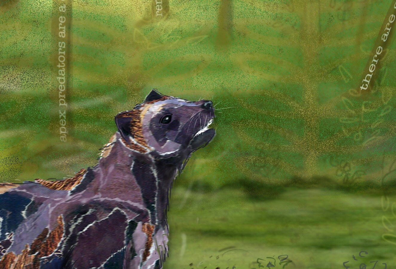 8x10 Art Print of a mixed media collage of a wolverine chasing a porcupine, Yellowstone