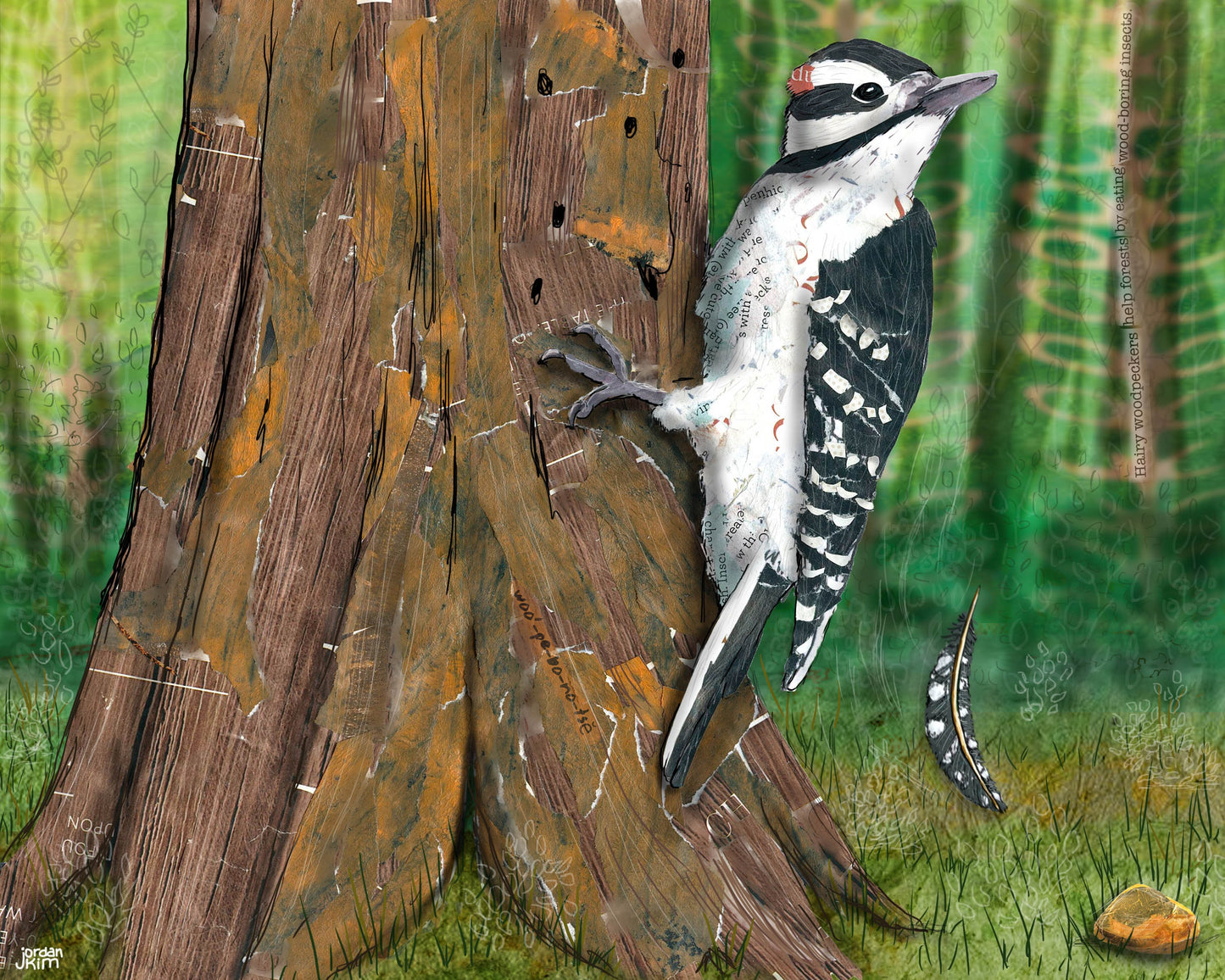 8x10 Art Print of a mixed media collage of a hairy woodpecker hanging on a tree, Yellowstone
