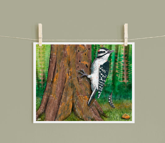 8x10 Art Print of a mixed media collage of a hairy woodpecker hanging on a tree, Yellowstone