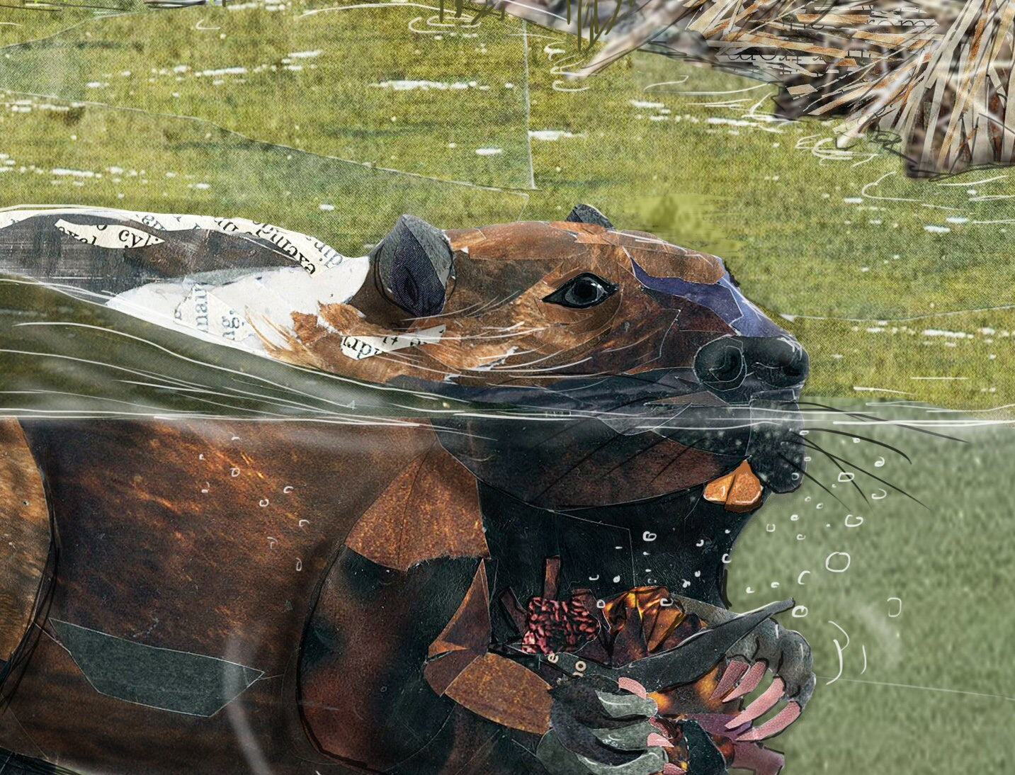 8x10 Art Print of a mixed media collage of a beaver swimming, Yellowstone