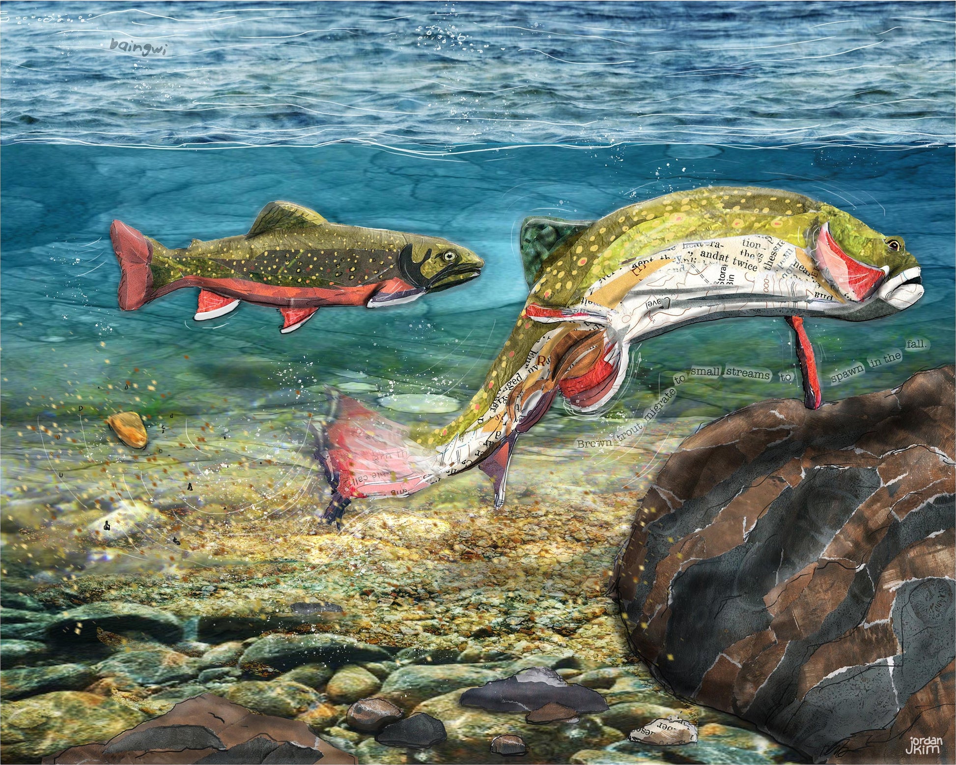 8x10 Art Print of a mixed media collage of brook trout making a redd, Yellowstone