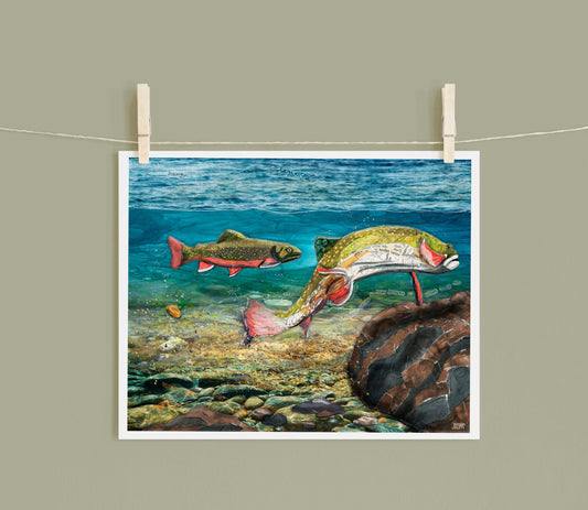 8x10 Art Print of a mixed media collage of brook trout making a redd, Yellowstone