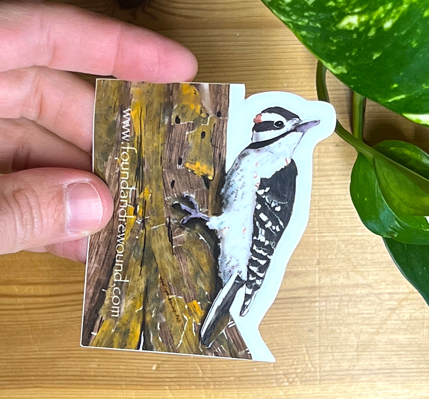 Hairy Woodpecker Sticker - 3" x 3" Original MixedMedia Collage - Dye Cut, Vinyl