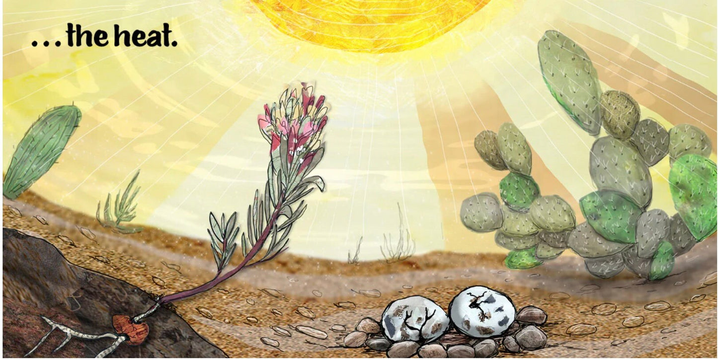 Picture book - "I am the Thirsty Desert" - children's book, kid lit, picture book, desert, super bloom, Sonoran Desert, animals, plants