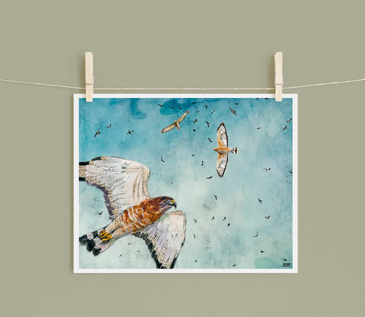 8x10 Art Print of a mixed media collage of Broad-Winged Hawks migrating through the sky in large groups called kettles, migration