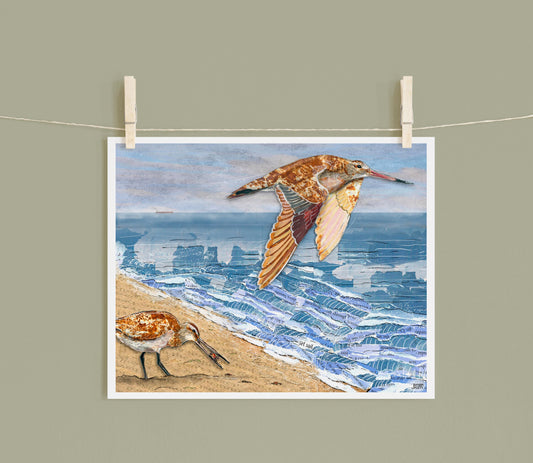 8x10 Art Print of a mixed media collage of two Bar-Tailed Godwits at the ocean shore, beach, shorebirds, migration