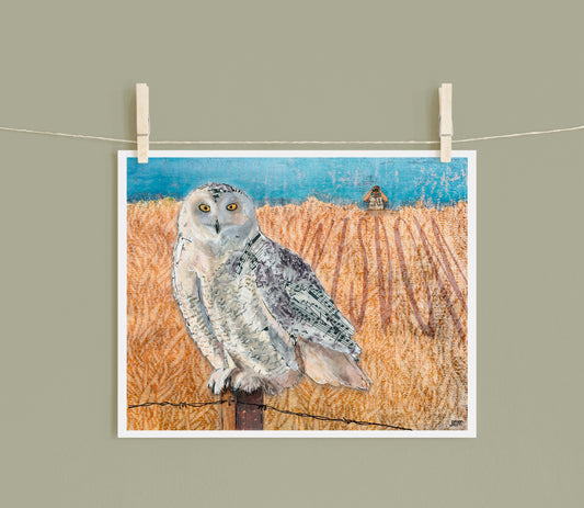 8x10 Art Print of a mixed media collage of a Snowy Owl perched on a fence post with birdwatcher in background