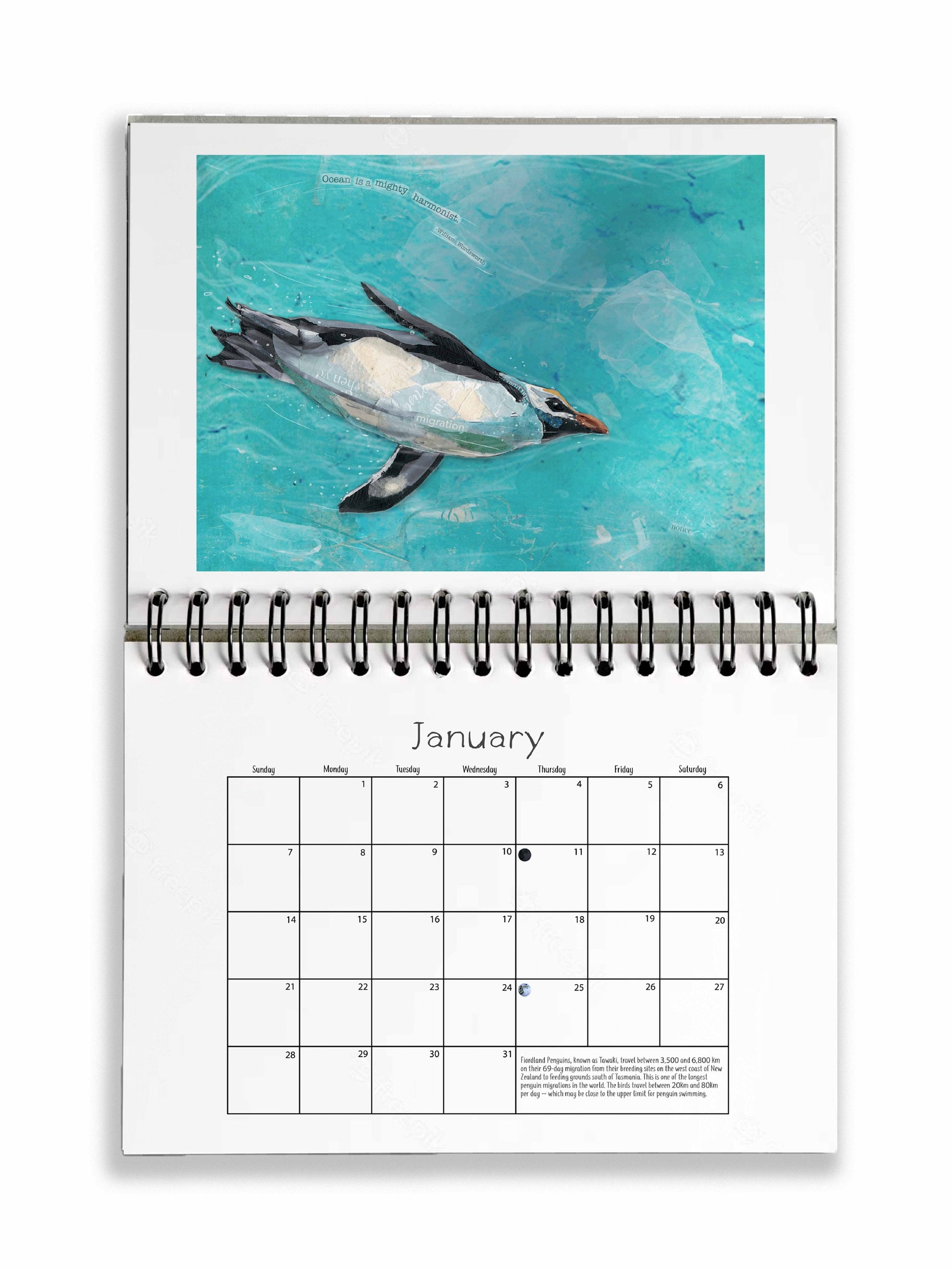 2024 Day Planner | Featuring Paper Collage Art | Migrating Birds | 12 month calendar | 9x6 weekly planner | Spiral | Landscape