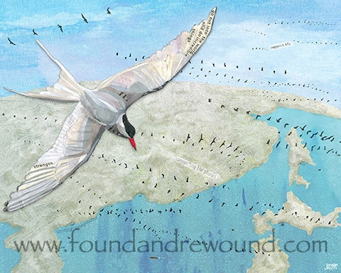 Bird Migrations: Connecting Planet and People